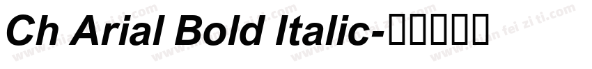 Ch Arial Bold Italic字体转换